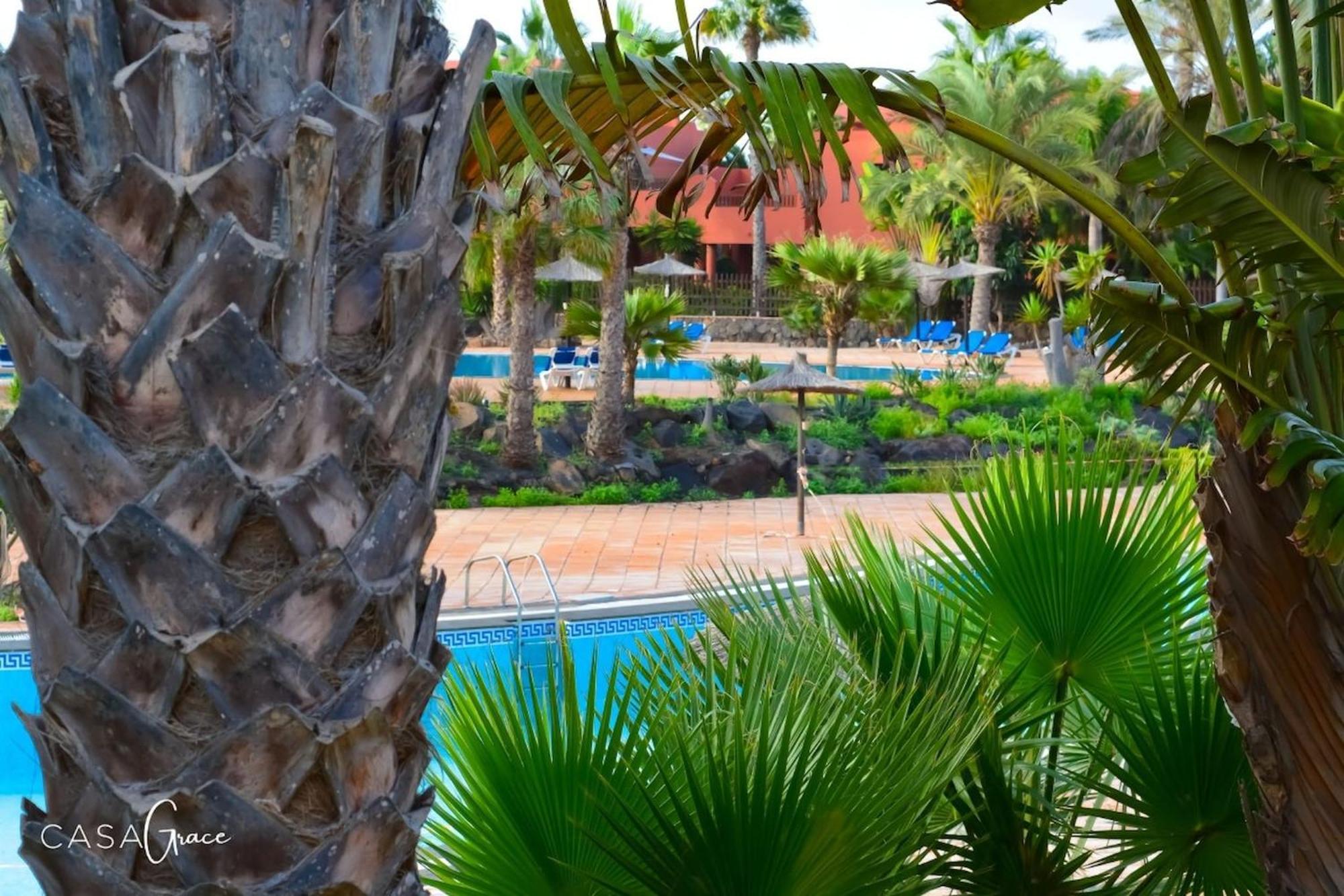 Tamarindo 1 Casa Grace Wifi Free Pool View By Rentalfue 코라레호 외부 사진